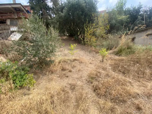 Vente Terrain Blida Bouarfa