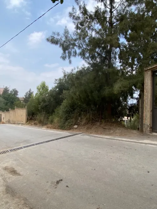 Vente Terrain Blida Bouarfa