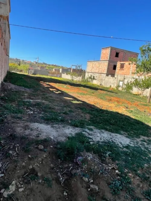 Location Terrain Mostaganem Sidi ali