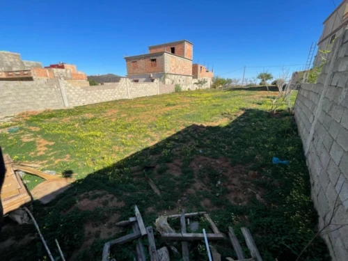 Location Terrain Mostaganem Sidi ali