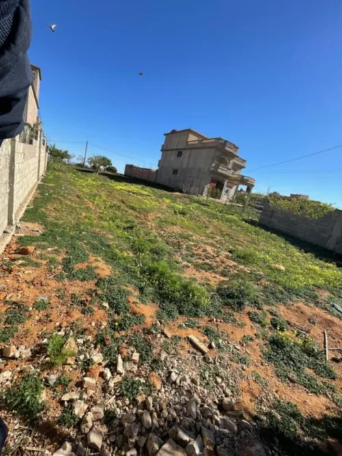 Location Terrain Mostaganem Sidi ali