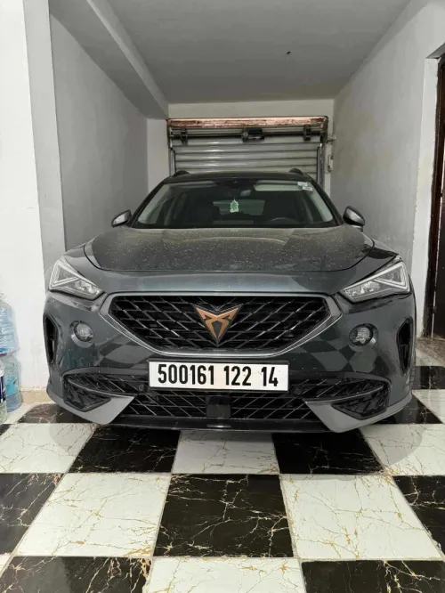 Cupra  Cupra fermentor 2022 