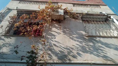 Vente Villa Blida Mouzaia