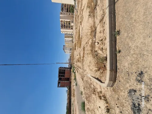 Vente Terrain Sidi Bel Abbès Sidi bel abbes