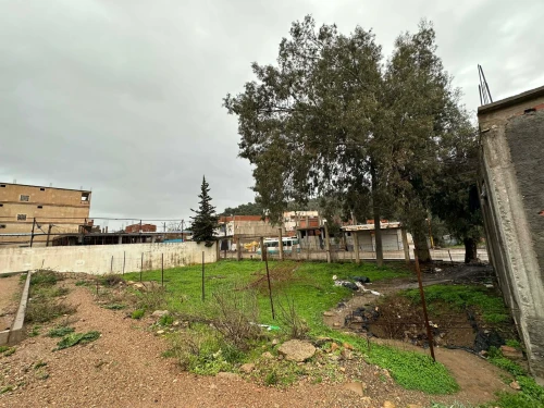 Vente Terrain Blida Oued djer