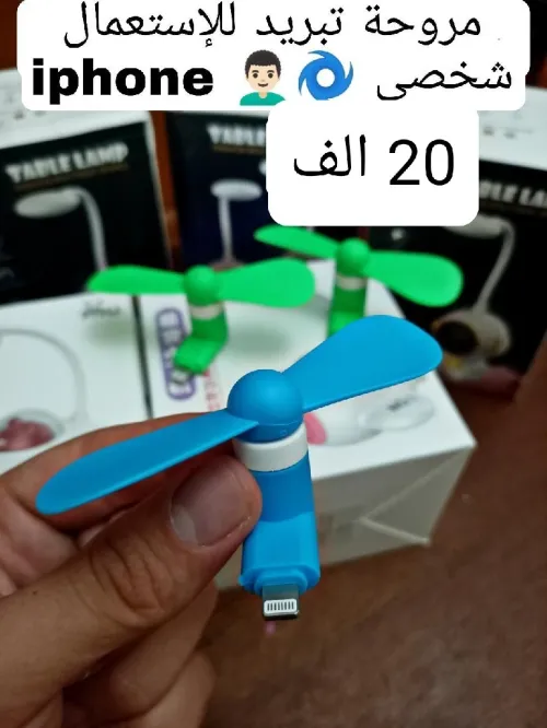 ولاية تلمسان شتوان بوعرفة