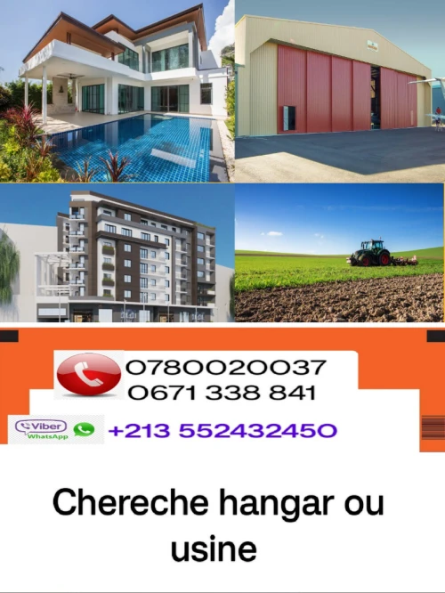 Cherche location Hangar Blida Ouled selama