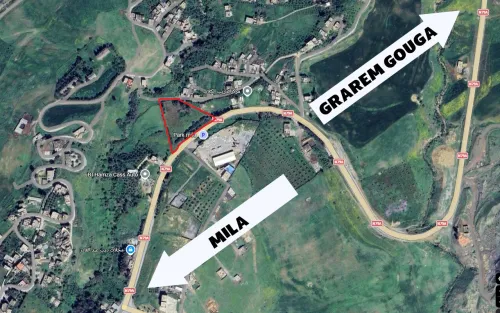 Vente Terrain Mila Mila