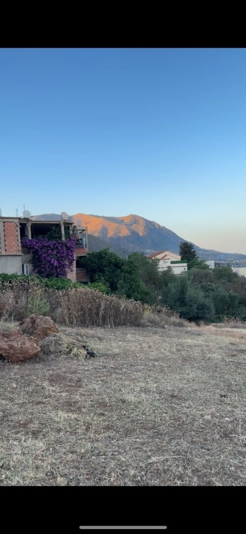 Vente Terrain Aïn Defla Miliana