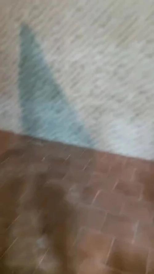 Location Appartement Studio F2 Alger Birtouta