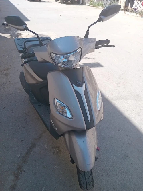 Vms joci Joci 2024