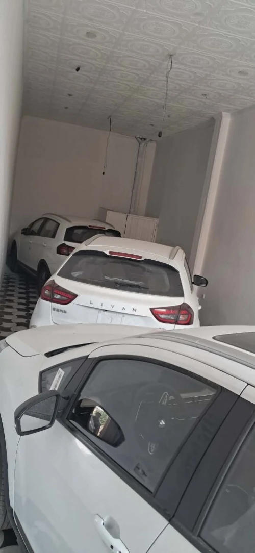 Geely GX3 PRO  2026 Livan