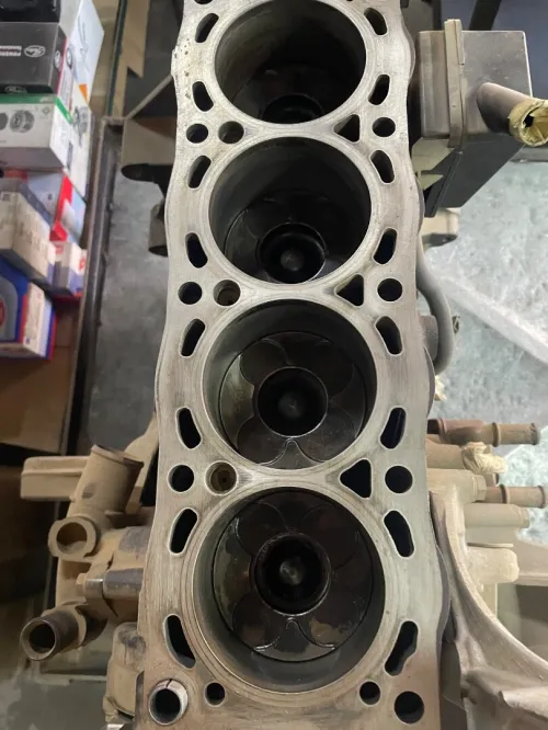 domi moteur 613
