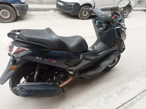 Okinoi Max ts 2024
