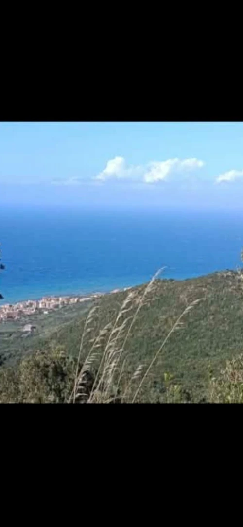 Vente Terrain Béjaïa Beni ksila