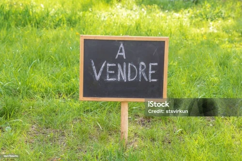Vente Terrain Alger Ben aknoun
