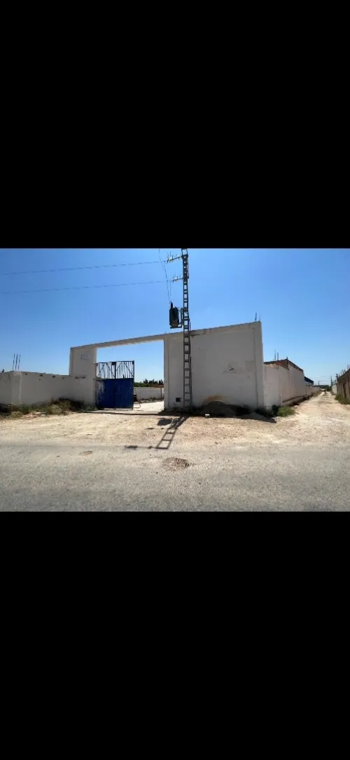 Vente Hangar Mostaganem Sirat
