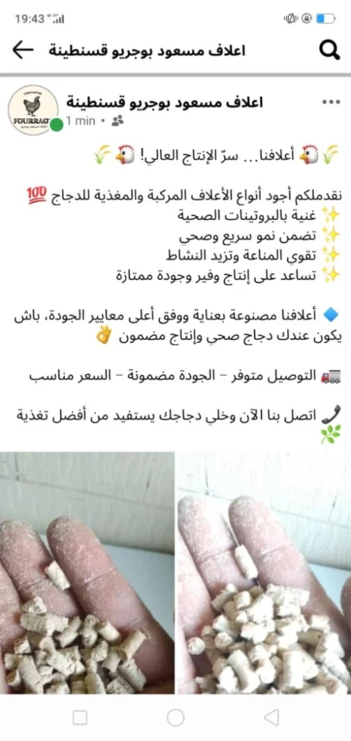 اعلاف مسعود بوجريو قسنطينة حسب الطلب