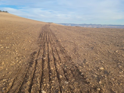 Vente Terrain Agricole Mascara El gaada