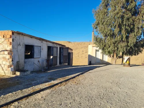 Vente Terrain Agricole Mascara El gaada