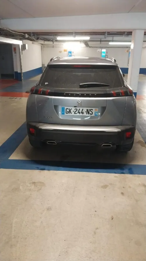 Peugeot 2008 2022 Erg