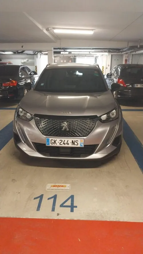 Peugeot 2008 2022 Erg