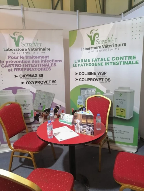 Impression Numérique