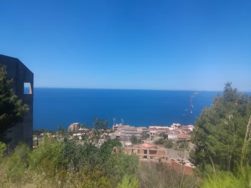 Vente Terrain Tipaza Tipaza