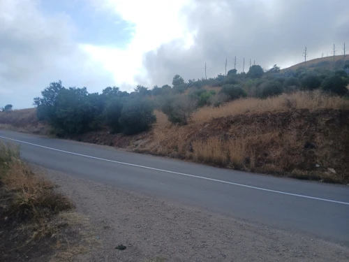 Vente Terrain Aïn Témouchent Oulhaca el gheraba