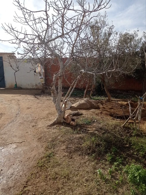 Vente bien immobilier Oran Boufatis