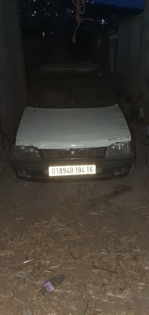 Peugeot 205 1994 205