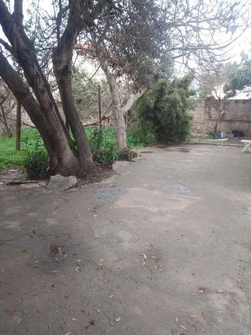 Vente Terrain Alger Bordj el bahri