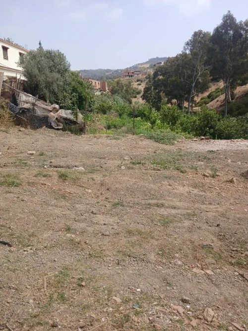 Vente Terrain Tipaza Cherchell