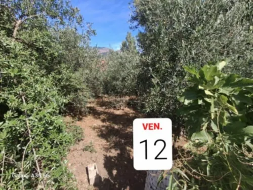Vente Appartement F10+ Mila Grarem gouga