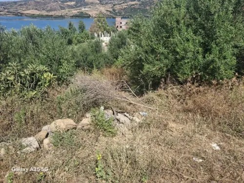 Vente Terrain Mila Grarem gouga