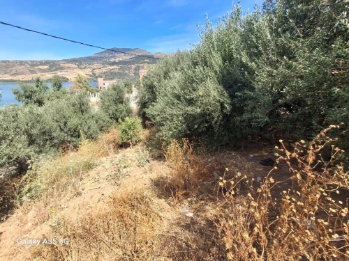 Vente Terrain Mila Grarem gouga