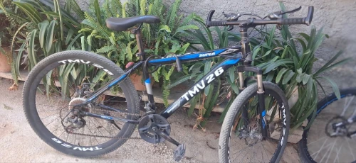 Tmv26