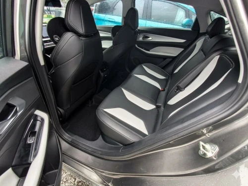 Geely Binrui 2024 Champion Edition