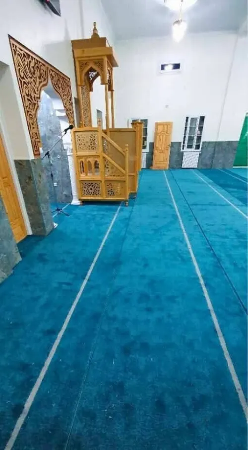 TAPIDOR MOQUETTE