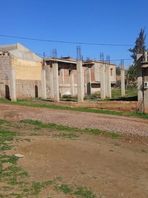 Vente Terrain Aïn Defla El attaf