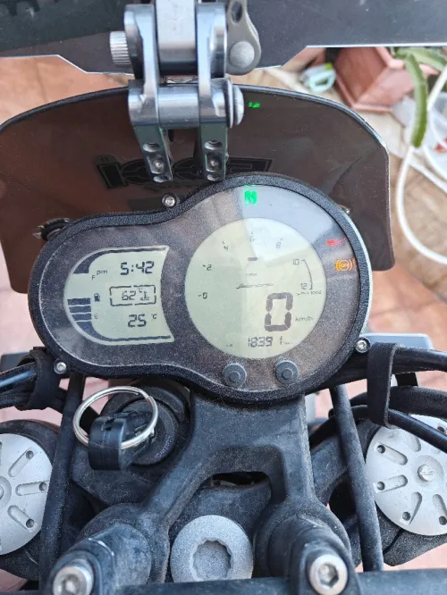 Benelli Leoncino 2021