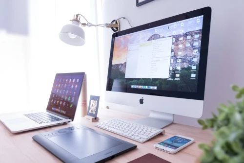 Assistante Commercial & Marketing Digital