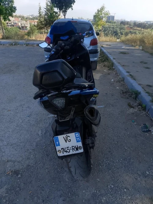 T max yamaha 530 2013