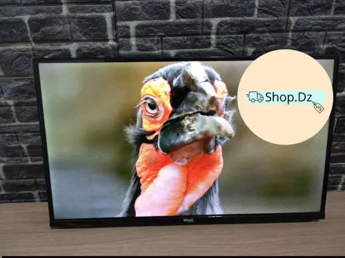 Téléviseur Géant 32P+support+démo e