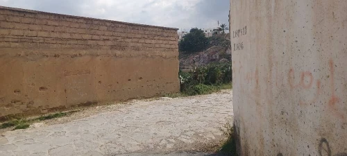 Vente Local Batna Menaa