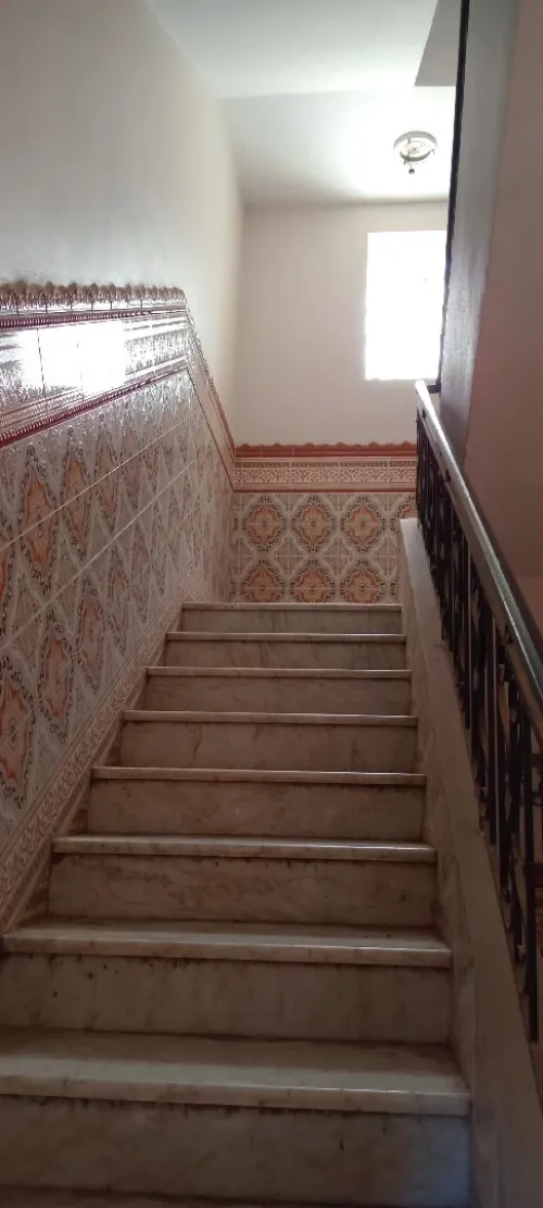 Location Appartement F4 Alger Ain naadja
