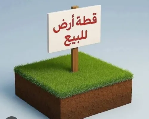 Vente Terrain Blida Blida