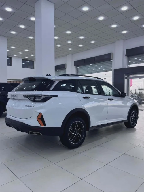 Dongfeng  Fengshen 2025 Aoelus gs