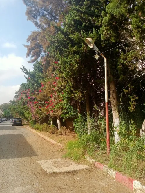 Vente Villa Alger El achour