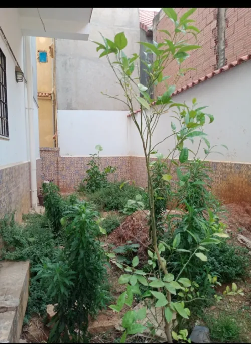 Vente Villa Alger Draria